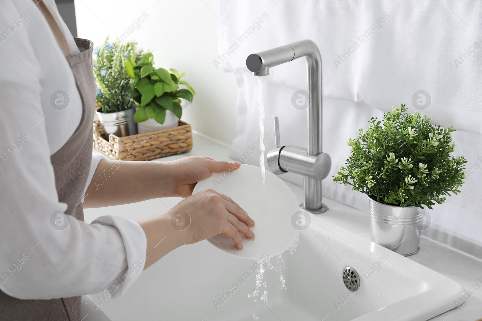 Photo of Woman washing plate above sink in kitchen, closeup