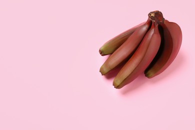 Photo of Tasty red baby bananas on pink background, top view. Space for text