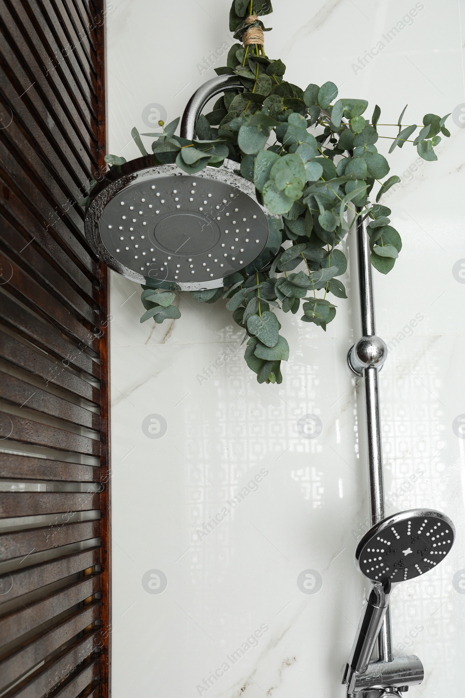 Photo of Branches with green eucalyptus leaves in shower