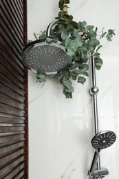 Branches with green eucalyptus leaves in shower