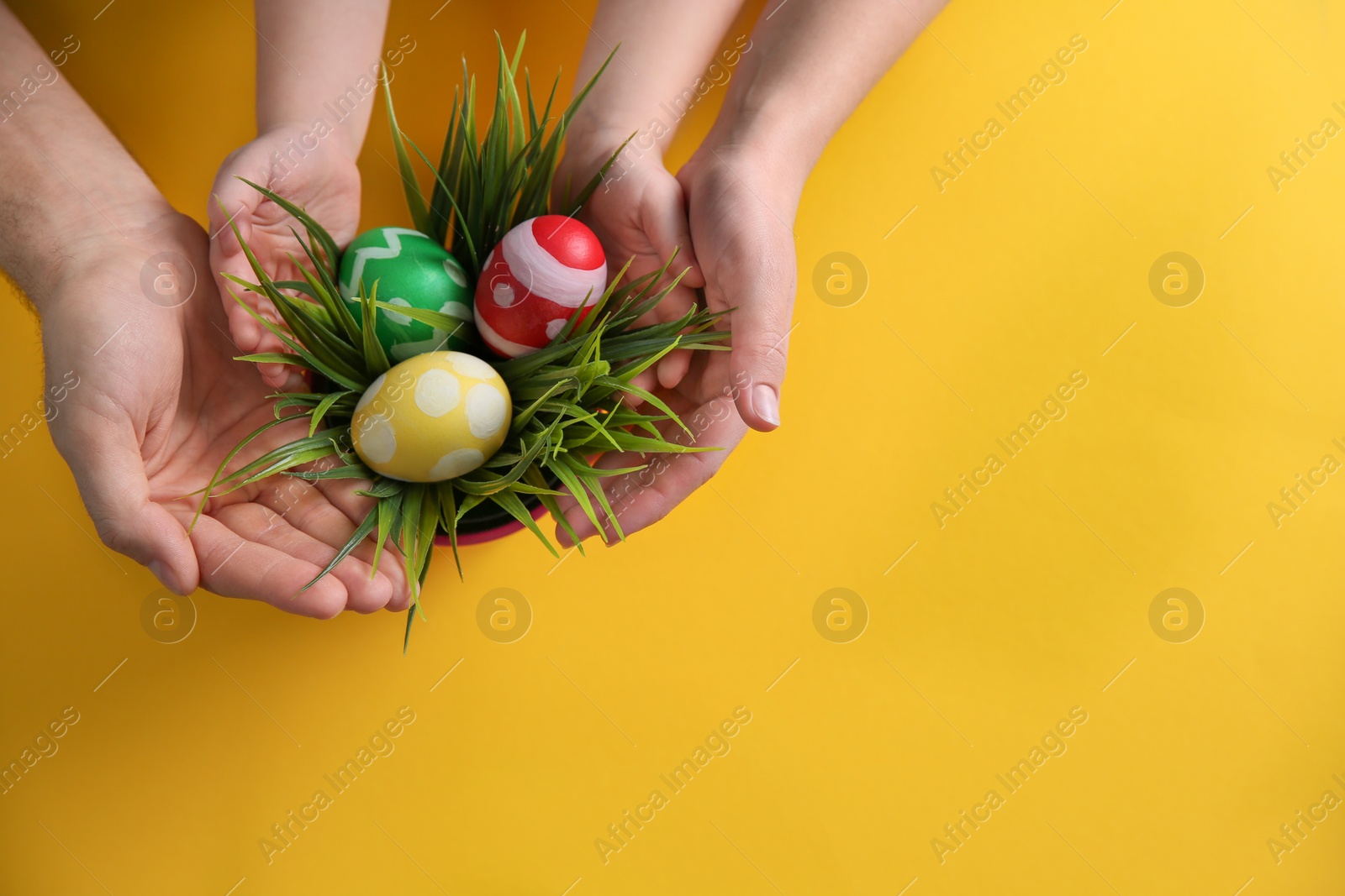 Photo of Family with composition of plant and Easter eggs on color background, top view. Space for text