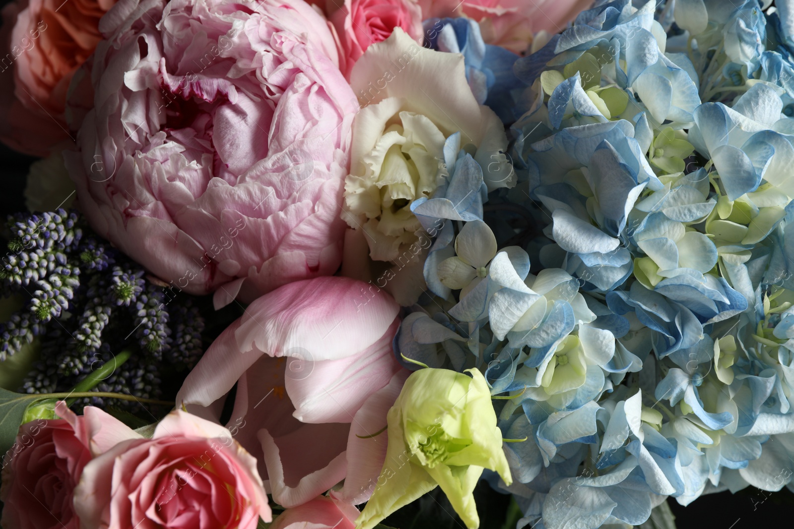 Photo of Beautiful bouquet of fresh flowers as background, closeup
