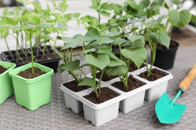 Photo of Vegetable seedlings growing in plastic containers with soil and trowel on light gray table, closeup