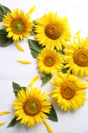 Photo of Beautiful bright sunflowers and petals on white wooden background, flat lay