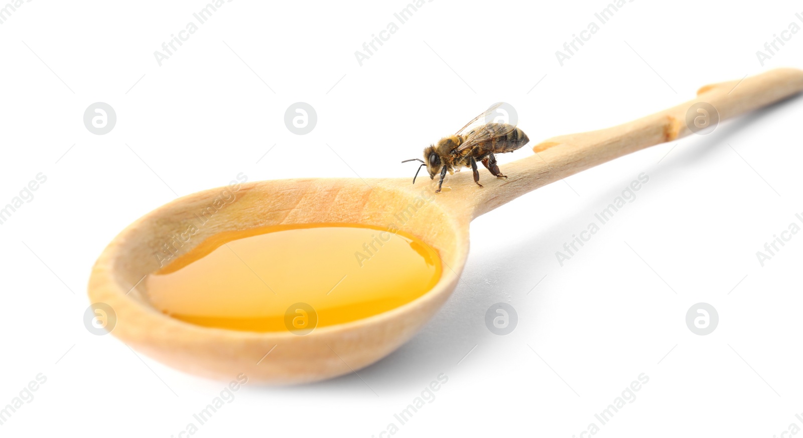 Photo of Wooden spoon with honey and bee on white background