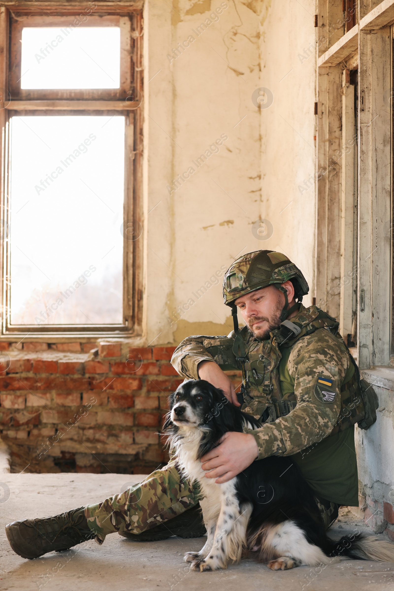 Photo of Ukrainian soldier sitting with stray dog in abandoned building