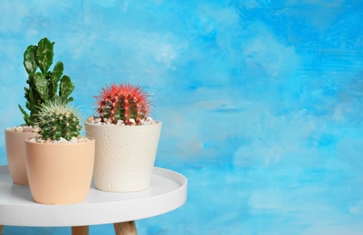 Photo of Beautiful cacti on table against color background