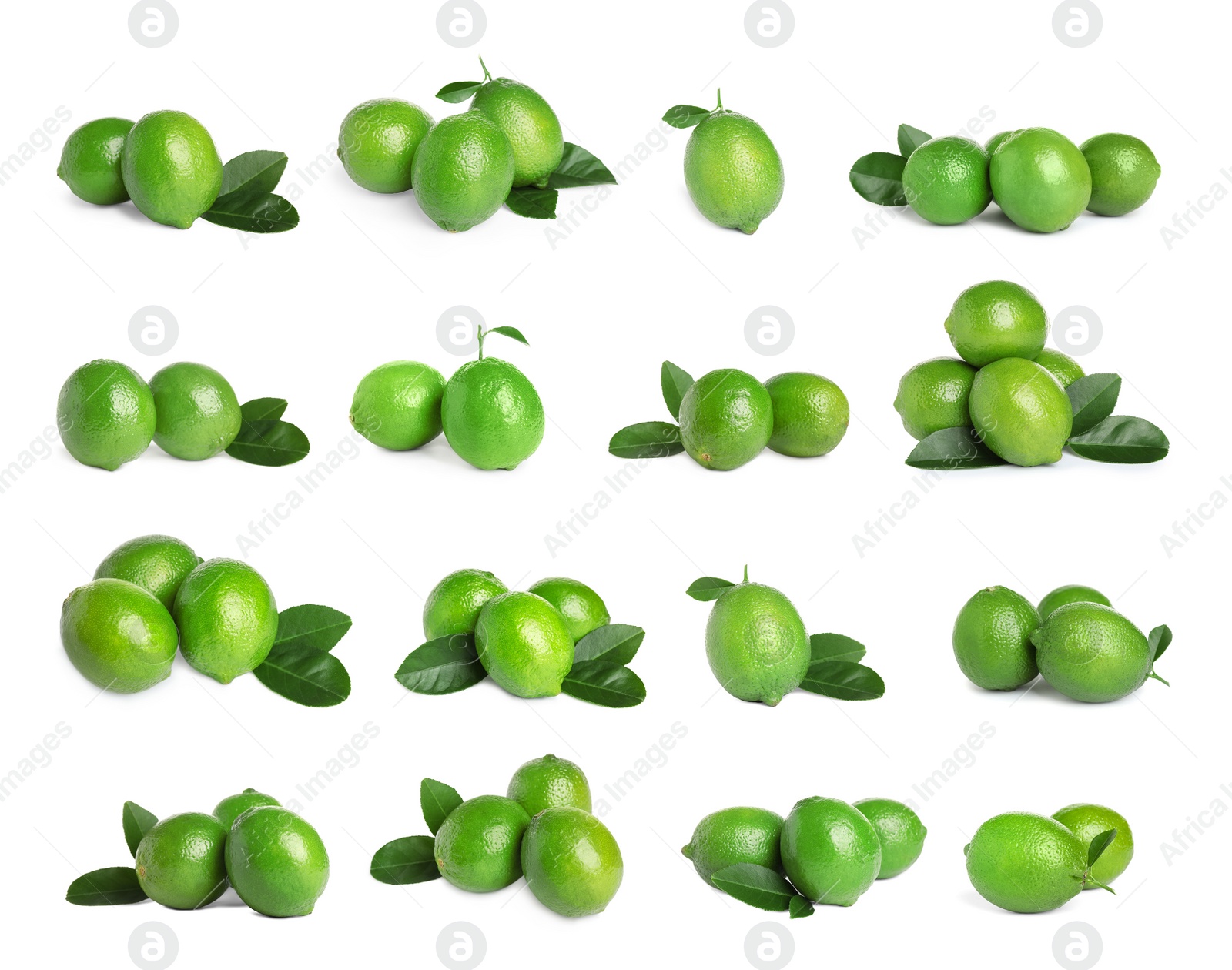 Image of Set of fresh ripe limes on white background