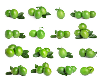 Set of fresh ripe limes on white background