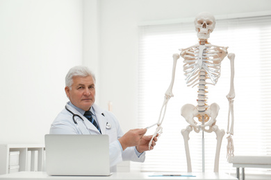 Senior orthopedist with laptop near human skeleton model in clinic