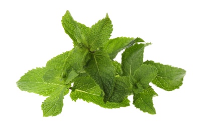 Leaves of fresh mint on white background