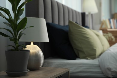 Photo of Lamp and houseplant on wooden bedside table near comfortable bed in room, closeup with space for text. Stylish interior