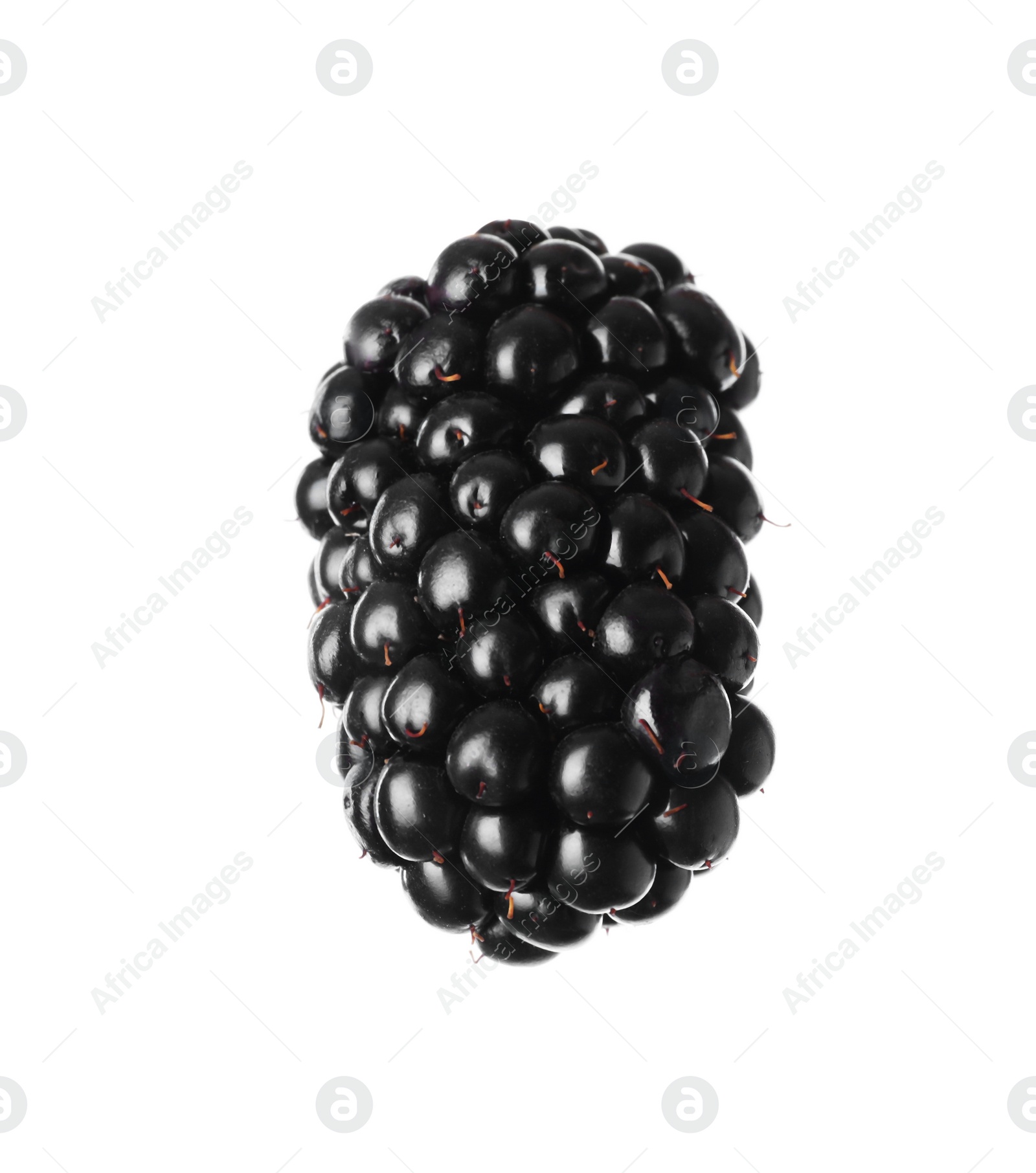 Photo of Delicious fresh ripe blackberry isolated on white