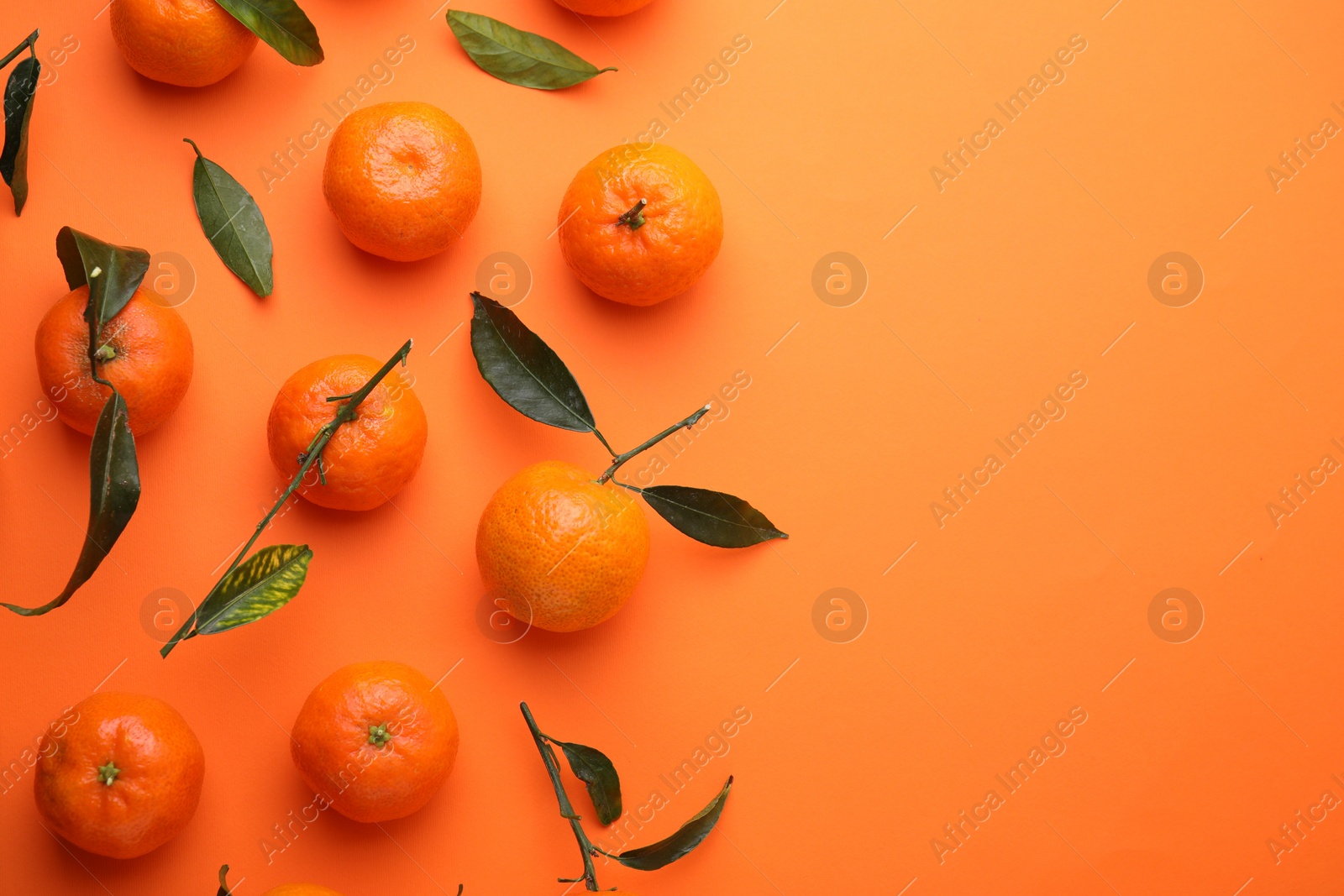 Photo of Fresh ripe tangerines with green leaves on orange background, flat lay. Space for text