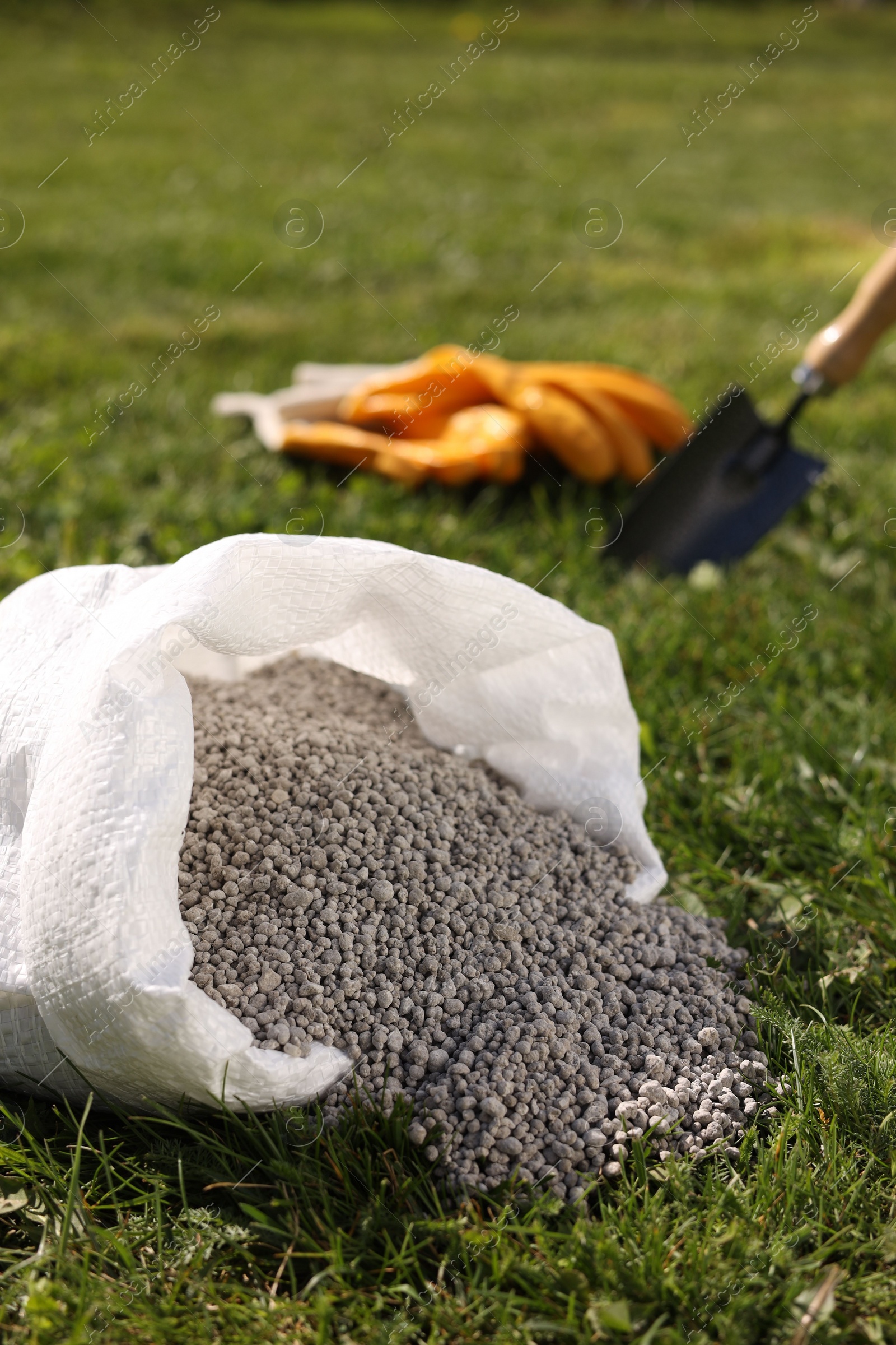 Photo of Granulated fertilizer in sack on green grass outdoors, closeup