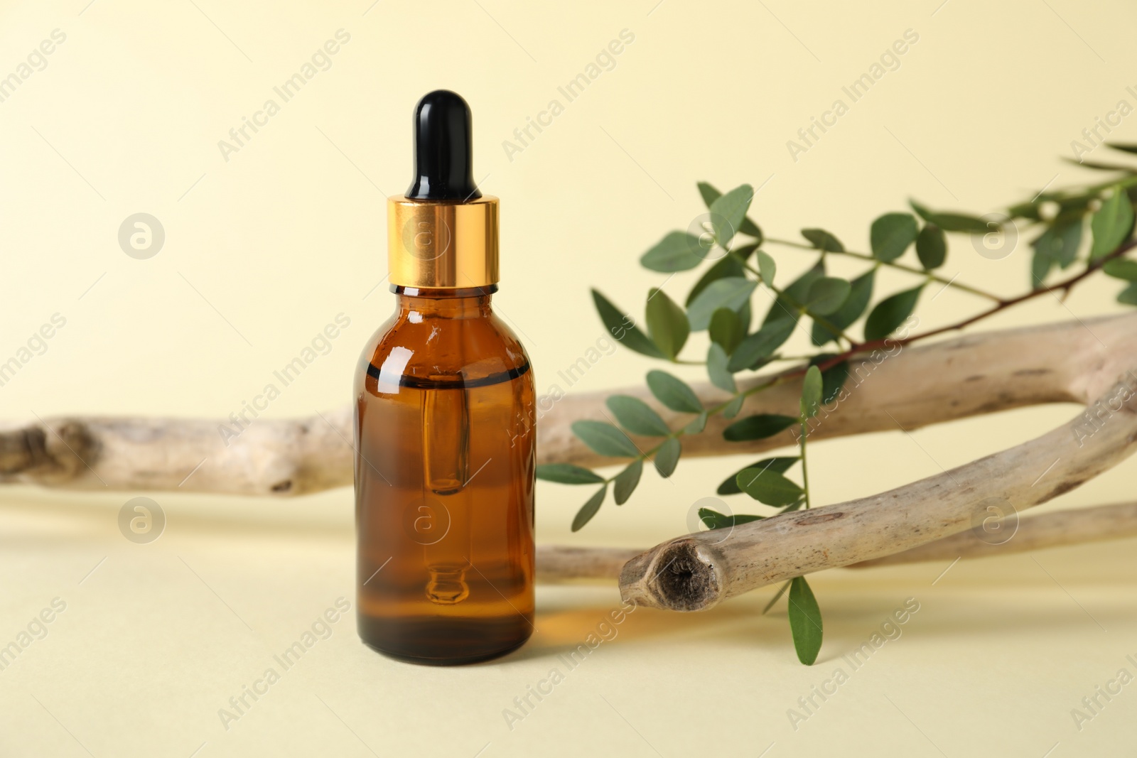 Photo of Bottle of cosmetic oil, branch and leaves on beige background, closeup
