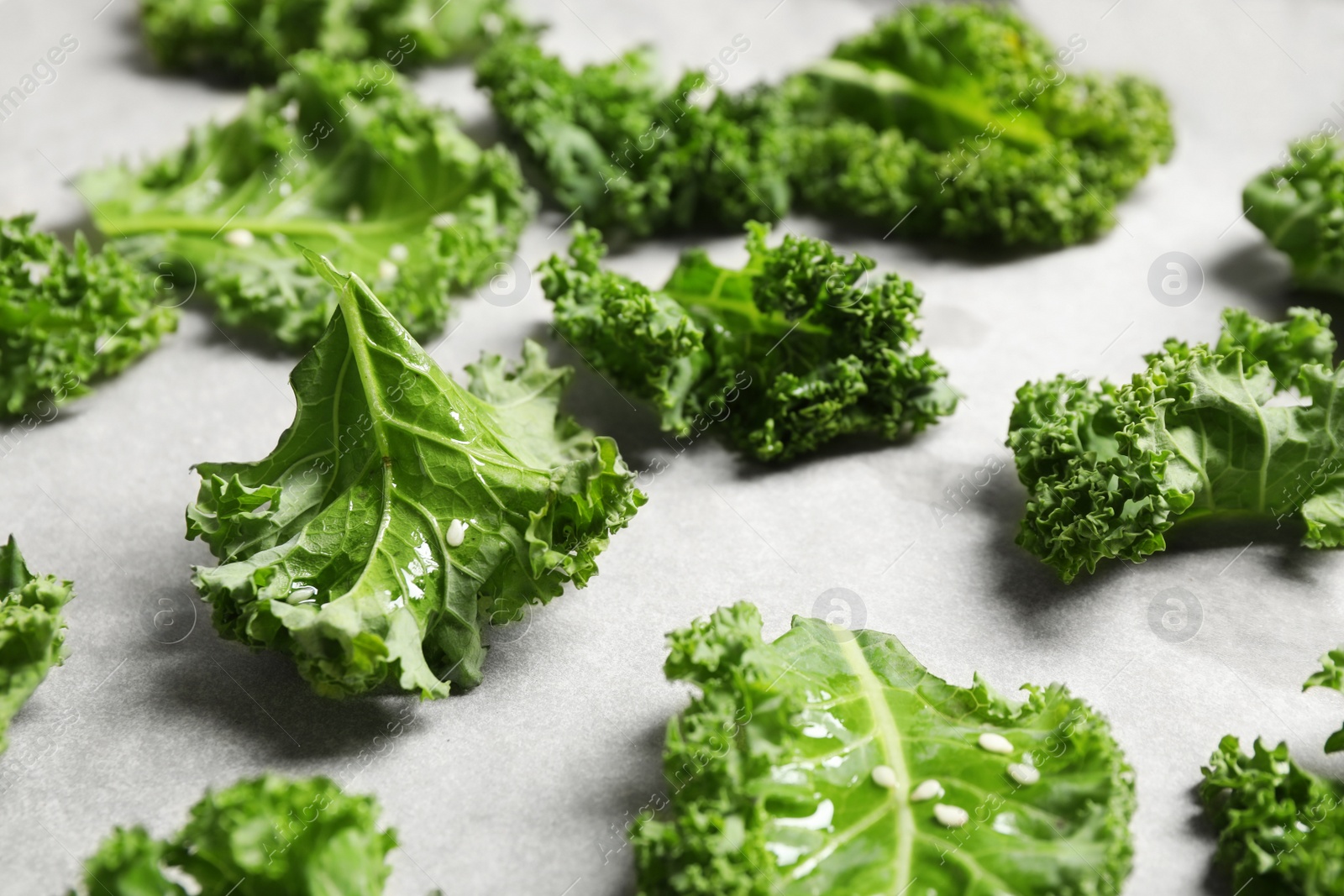 Photo of Raw cabbage leaves on parchment paper, closeup. Preparing kale chips