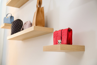 Photo of Stylish woman's bags on shelves in boutique