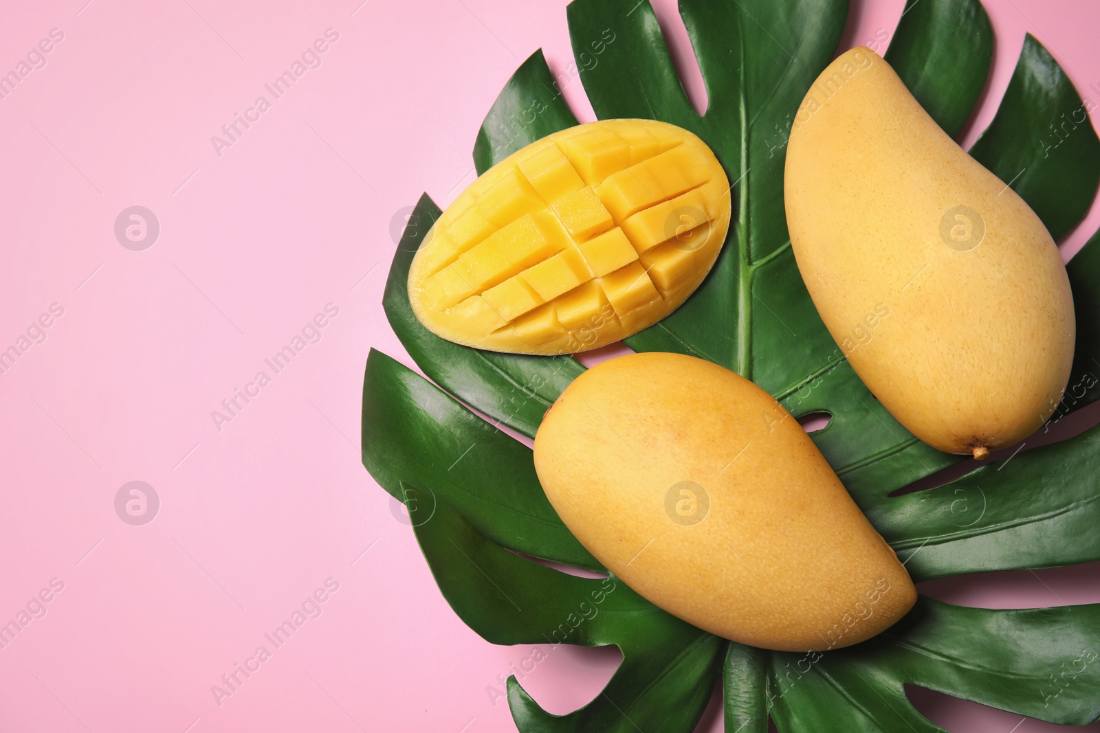 Photo of Flat lay composition with mango fruits on color background. Space for text