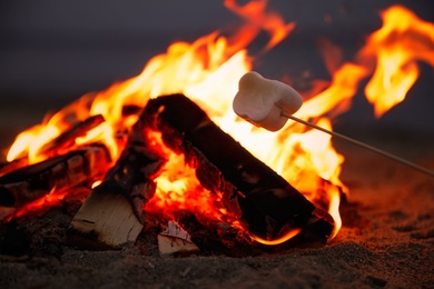 Photo of Roasting marshmallow over burning firewood on beach, closeup