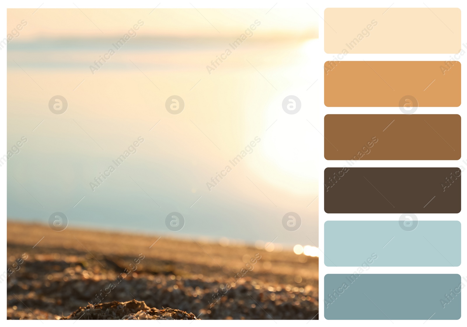 Image of Color palette appropriate to photo of riverside at sunrise