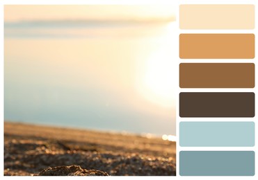 Image of Color palette appropriate to photo of riverside at sunrise