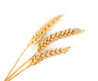 Dried ears of wheat on white background, top view