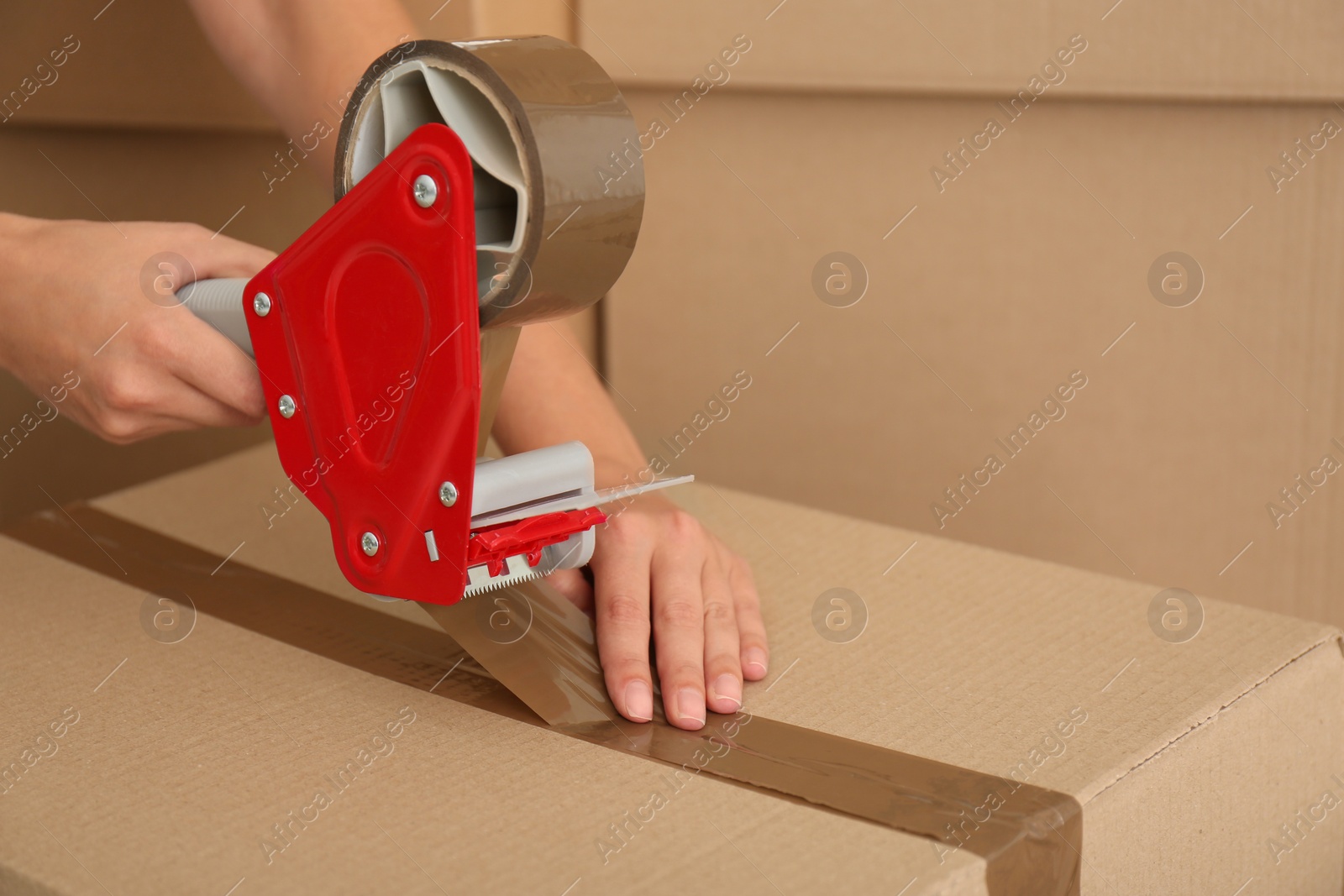 Photo of Woman packing carton box indoors, closeup. Moving day