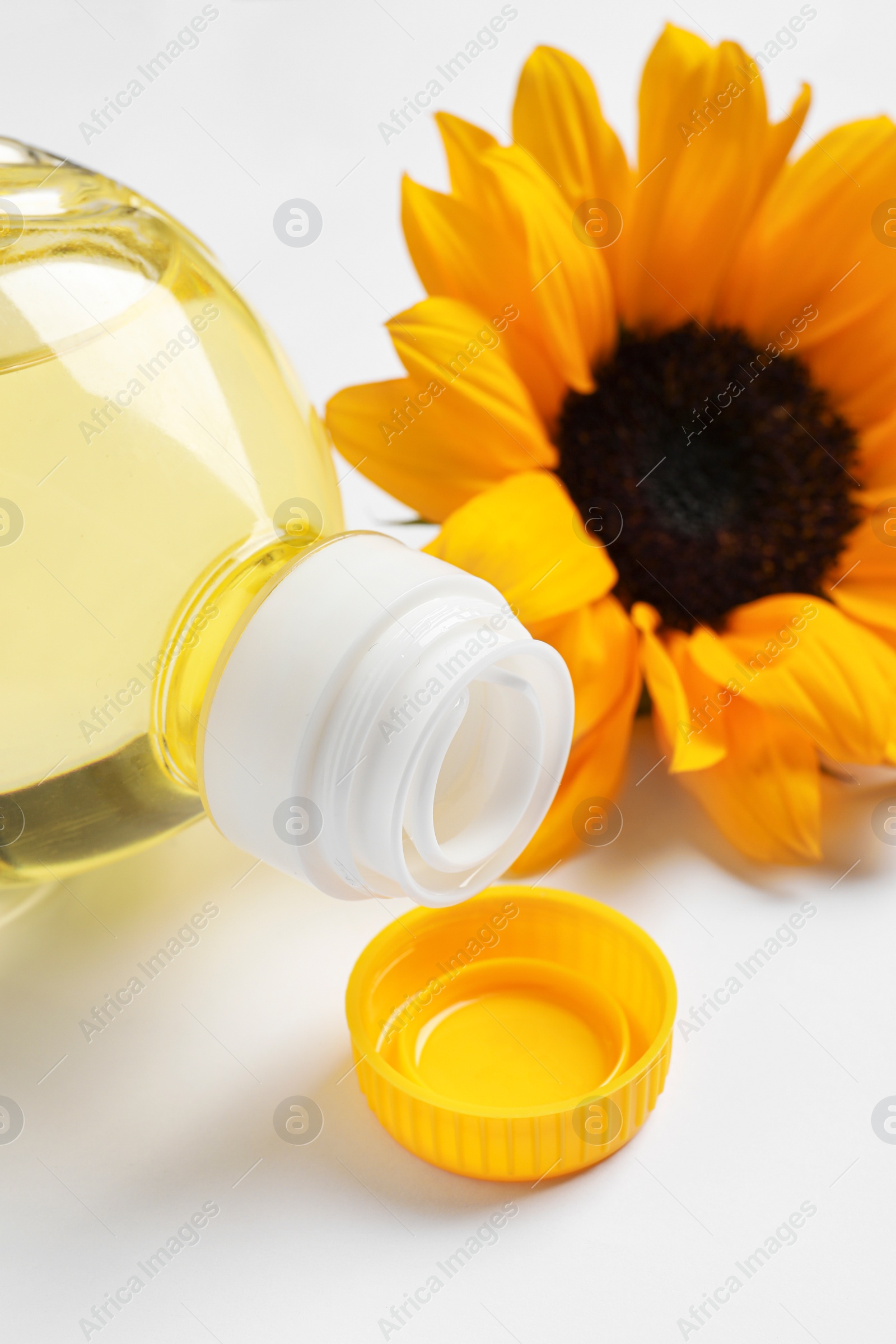 Photo of Bottle of cooking oil and sunflower on white table, closeup