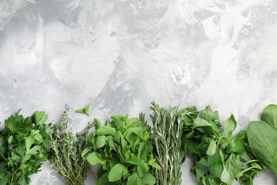 Flat lay composition with fresh green herbs on grey background