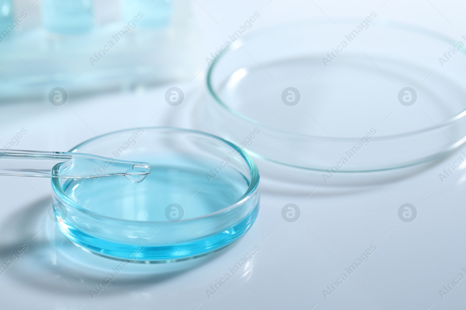 Photo of Dripping liquid from pipette into petri dish at white table, closeup