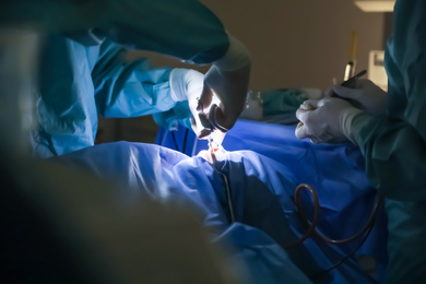 Professional doctors performing operation in surgery room, closeup