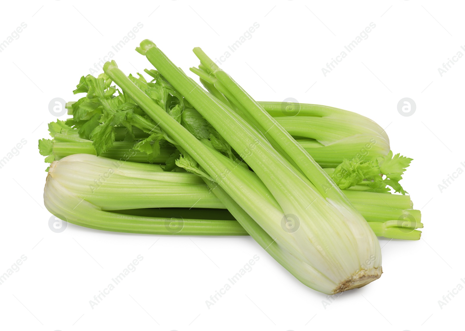 Photo of Fresh green celery bunches isolated on white