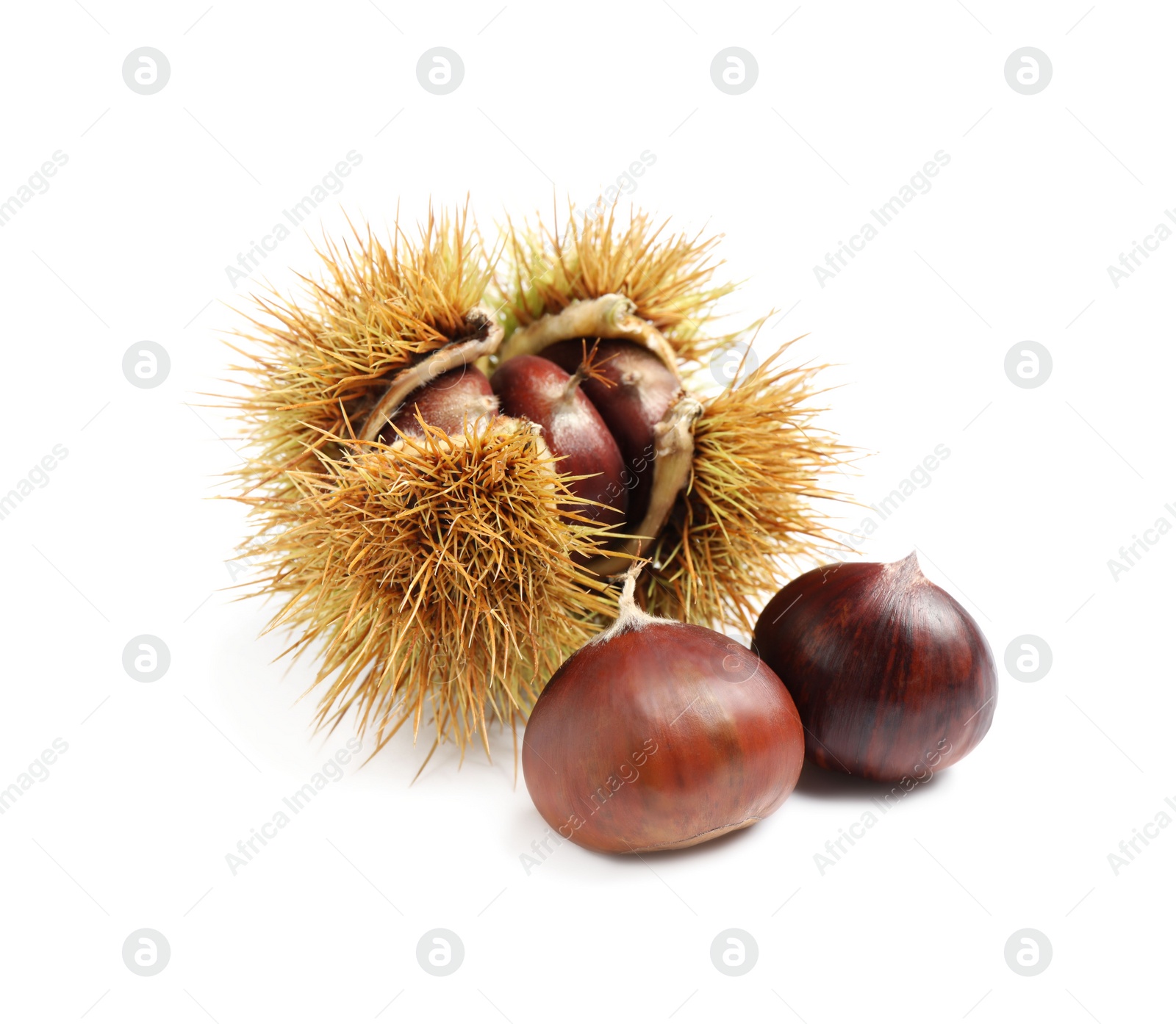 Photo of Fresh sweet edible chestnuts on white background