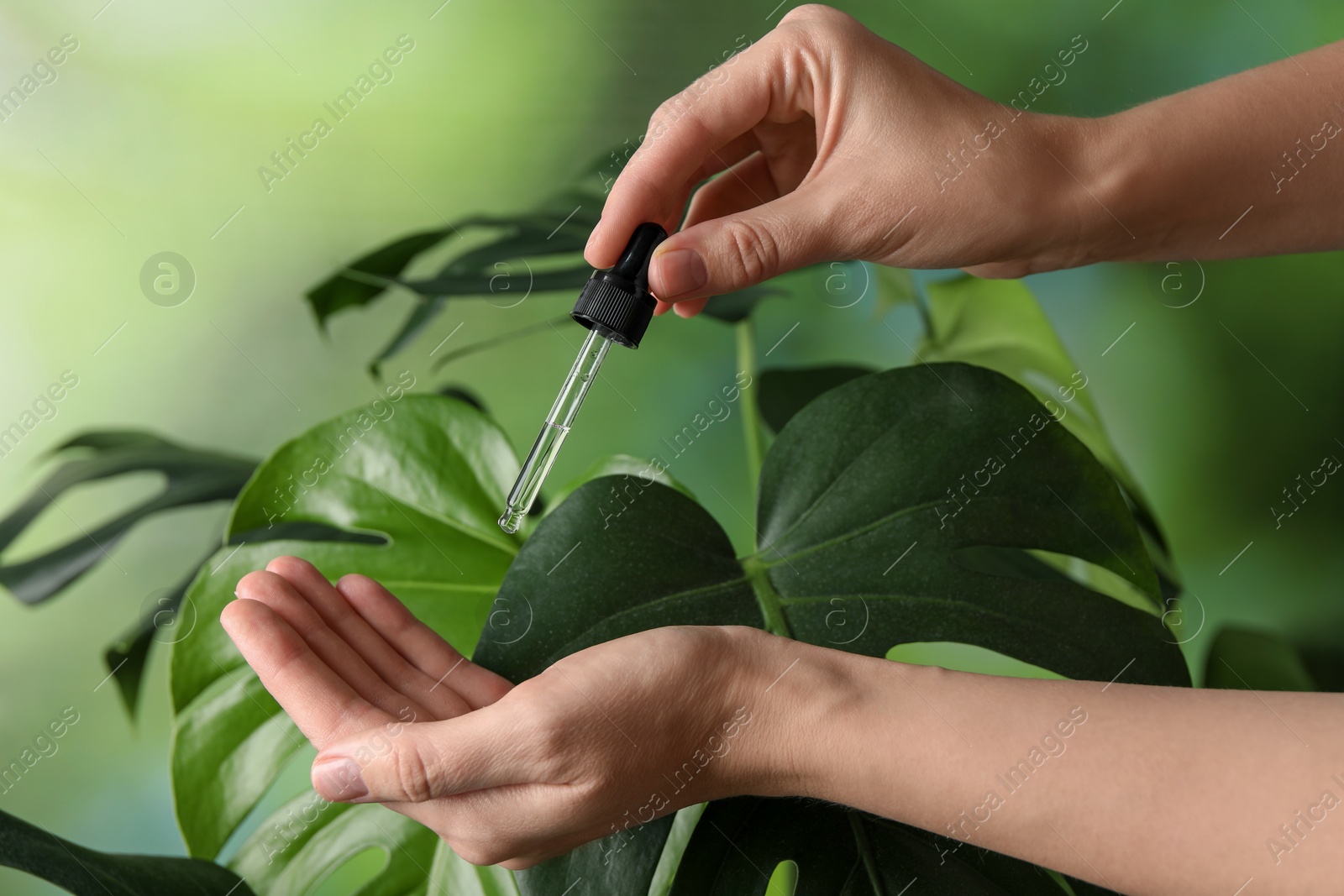Photo of Woman applying cosmetic serum onto hand on green background, closeup