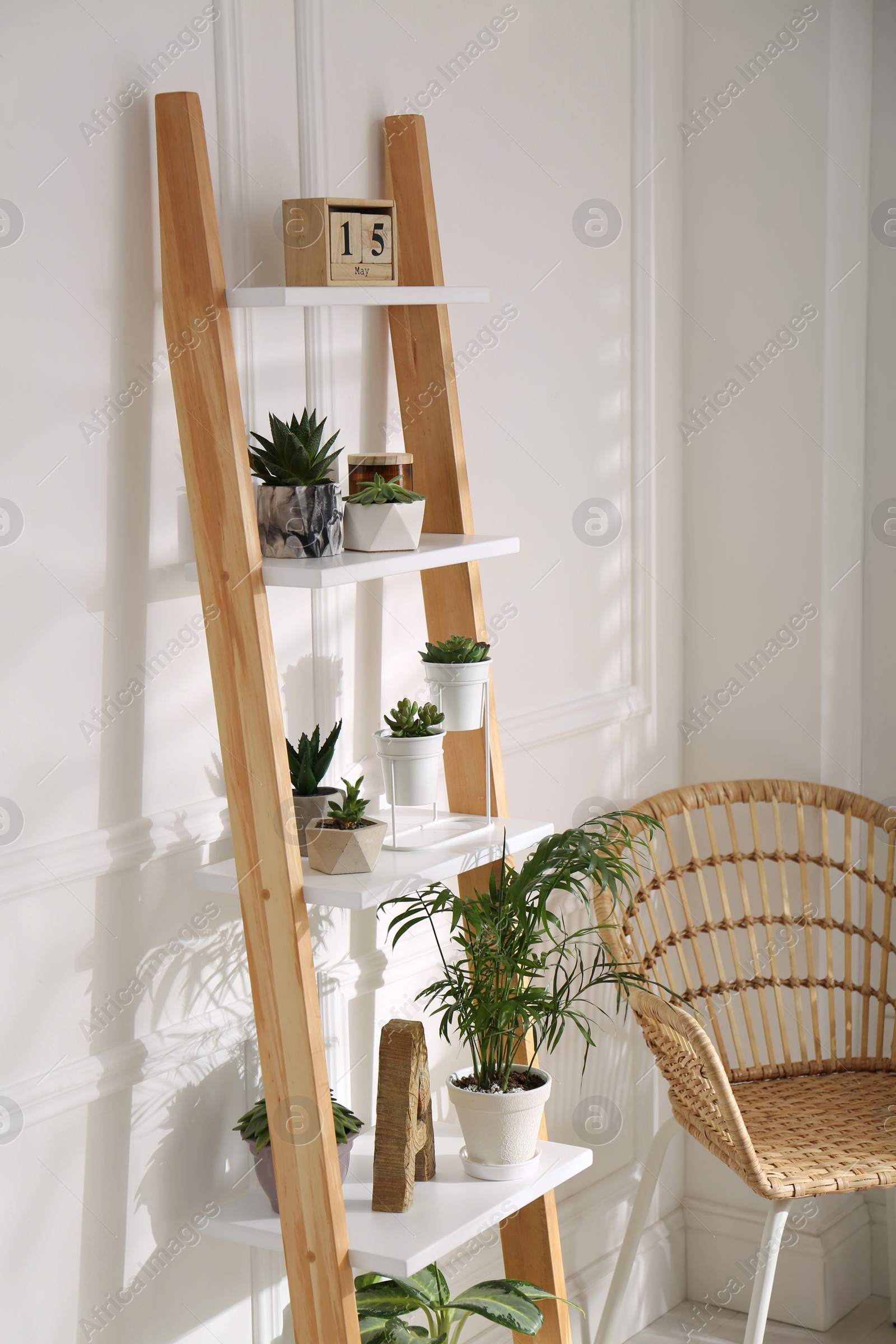 Photo of Elegant decorative ladder with houseplants and chair in light room