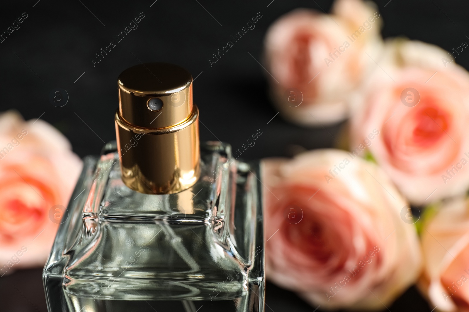 Photo of Bottle of perfume on blurred background, closeup. Space for text