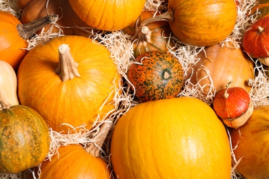 Photo of Many fresh raw whole pumpkins and wood shavings as background, top view. Holiday decoration