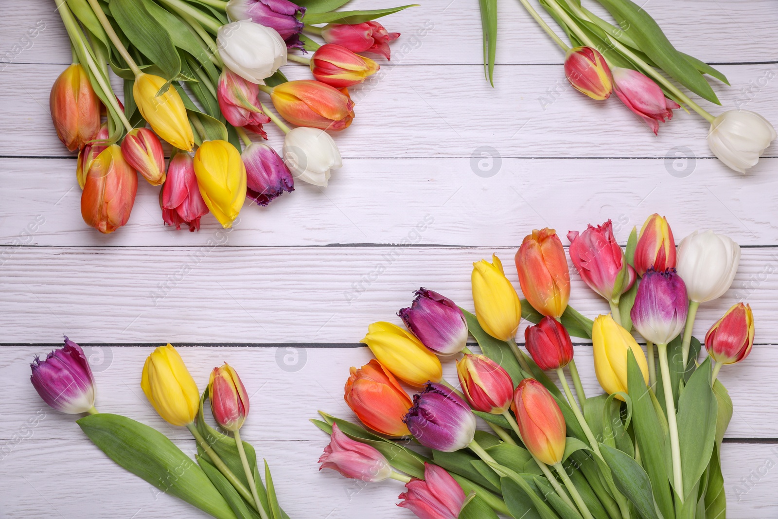 Photo of Beautiful colorful tulip flowers on white wooden table, flat lay. Space for text