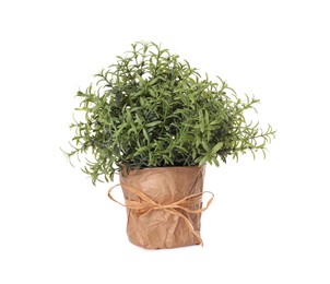 Photo of Artificial potted rosemary on white background. Home decor