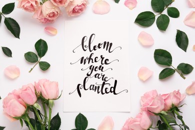 Frame of beautiful flowers and paper card with handwritten text Bloom where you are planted on white background, flat lay
