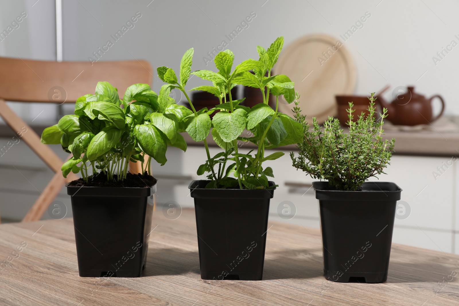 Photo of Pots with basil, thyme and mint on wooden table in kitchen