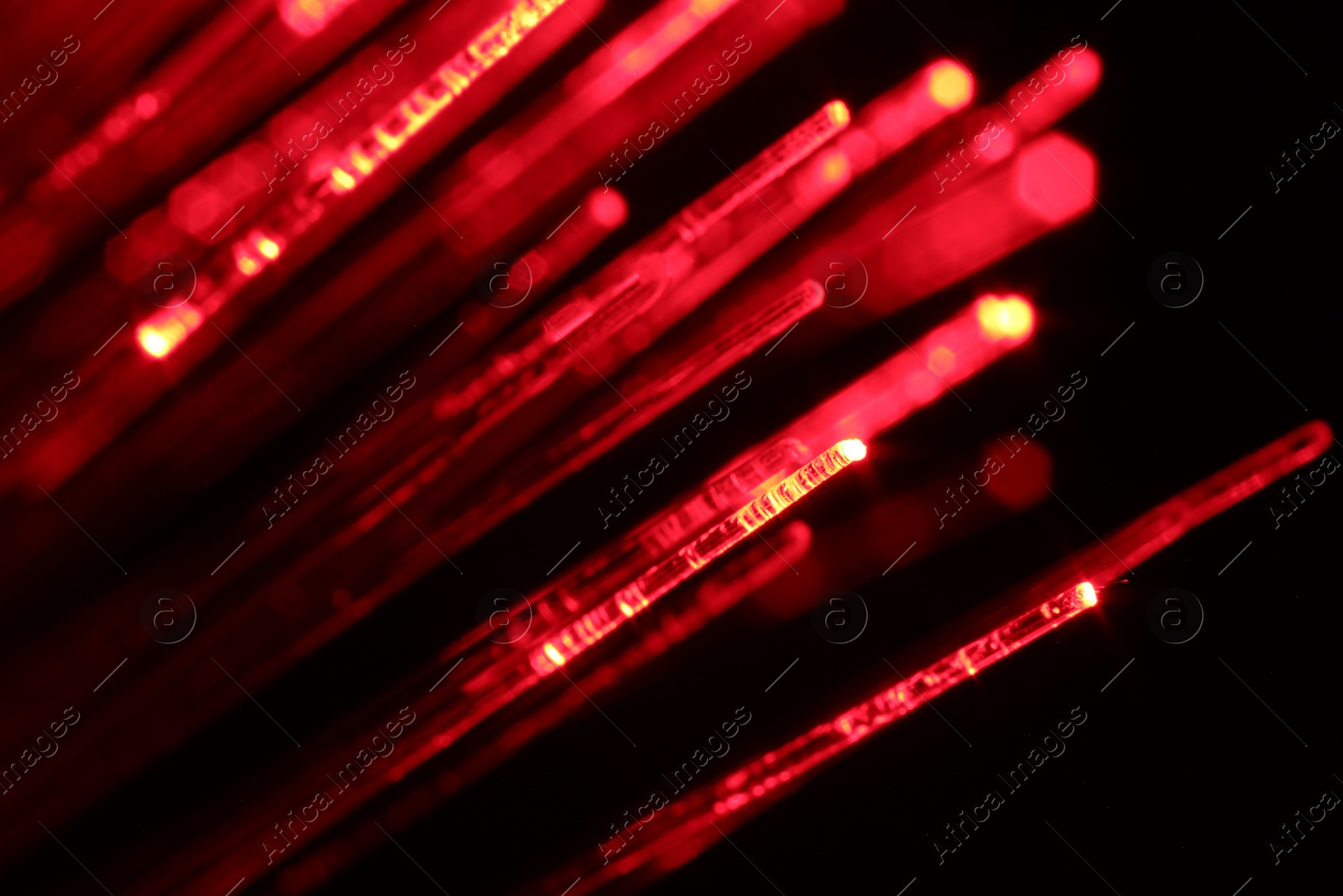 Photo of Optical fiber strands transmitting red light on black background, macro view