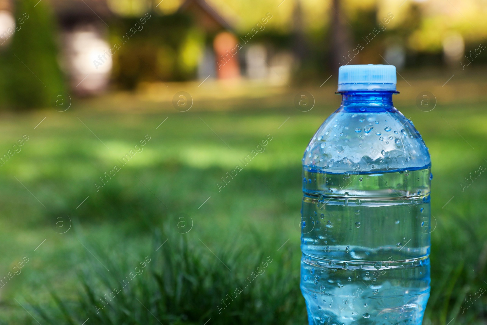 Photo of Plastic bottle of water on green grass outdoors, closeup. Space for text