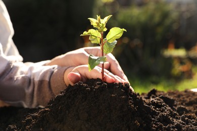 Photo of Mother and daughter planting young tree in garden, closeup