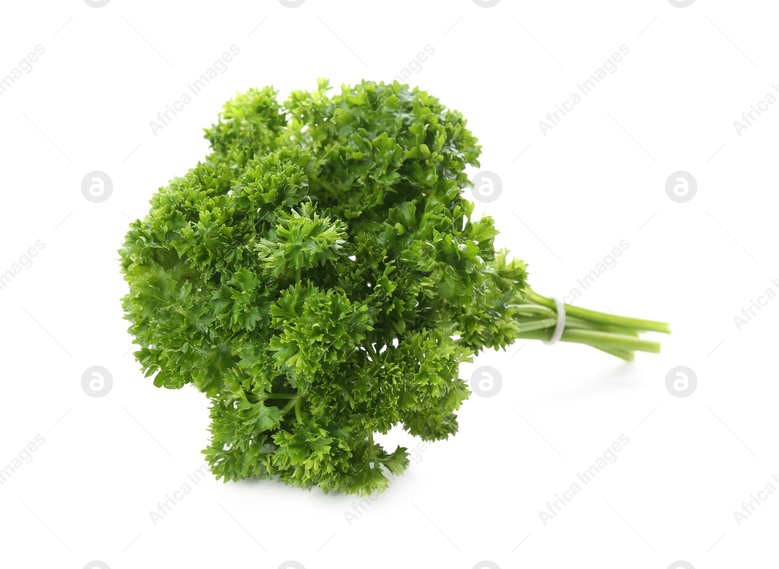 Photo of Bunch of fresh curly parsley on white background