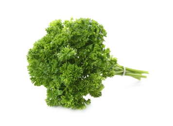 Bunch of fresh curly parsley on white background