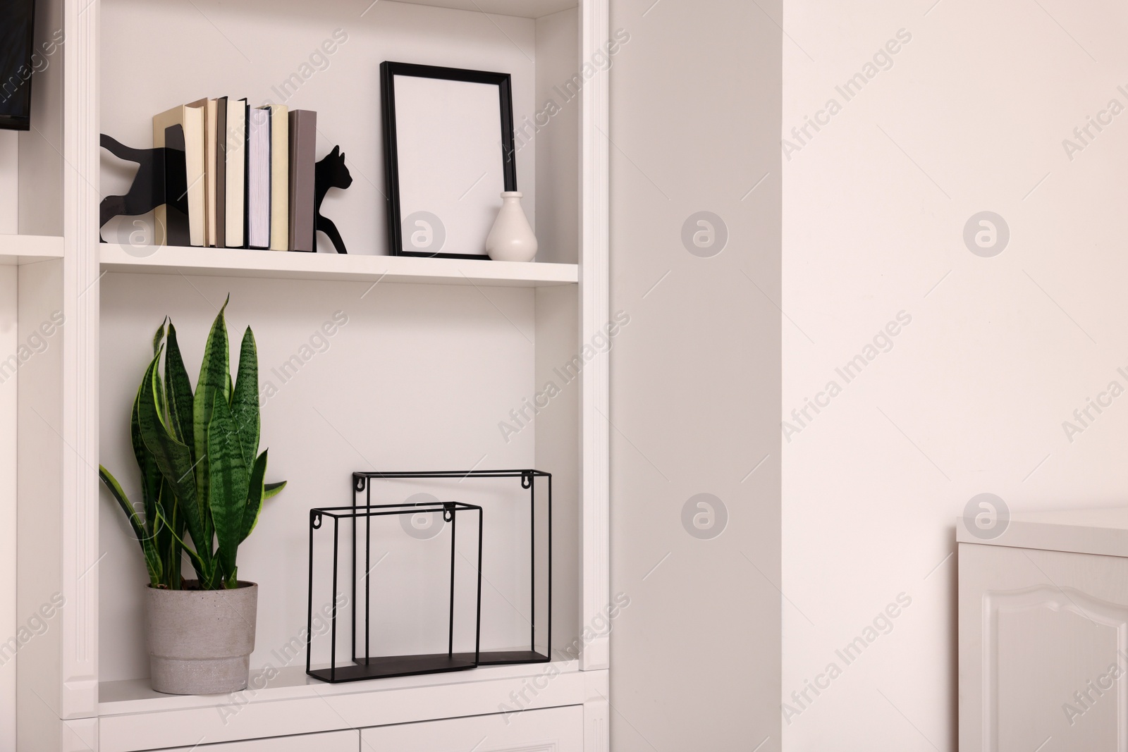 Photo of Interior design. Shelves with stylish accessories, potted plant and books indoors. Space for text