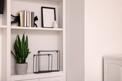 Photo of Interior design. Shelves with stylish accessories, potted plant and books indoors. Space for text