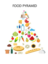 Illustration of  food pyramid on white background. Nutritionist's recommendations